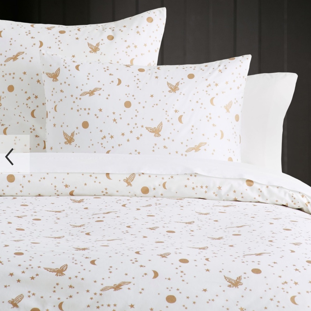 Pottery barn full/queen duvet cover with 2 standard shams. Harry Potter themed.